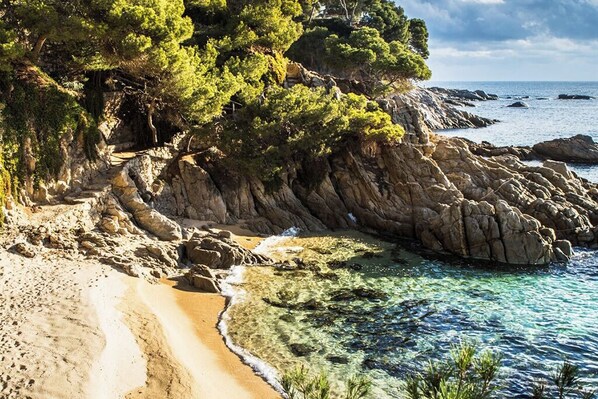 Plage à proximité