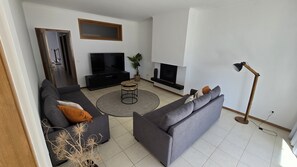 Smart TV, fireplace, DVD player, books