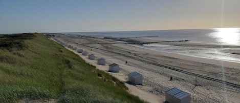 Una playa con arena, césped y un muelle que se adentra en el agua.