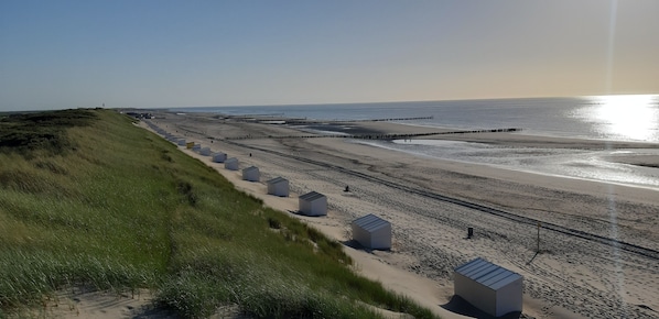 Ein Strand mit Sand, Gras und einer Pier, die ins Wasser ragt.