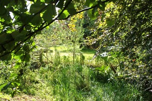 Escape to a serene garden oasis with lush greenery and a natural ambiance.
