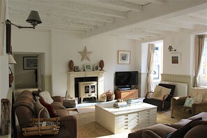 Télévision, cheminée, lecteur de DVD, livres