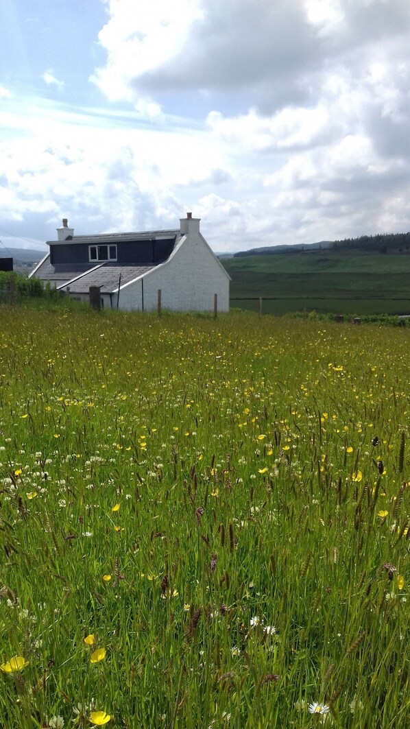 A house with a sloped roof and a chimney, surrounded by a field of yellow flowers and green grass.
