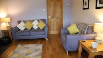 Televisión, chimenea y libros