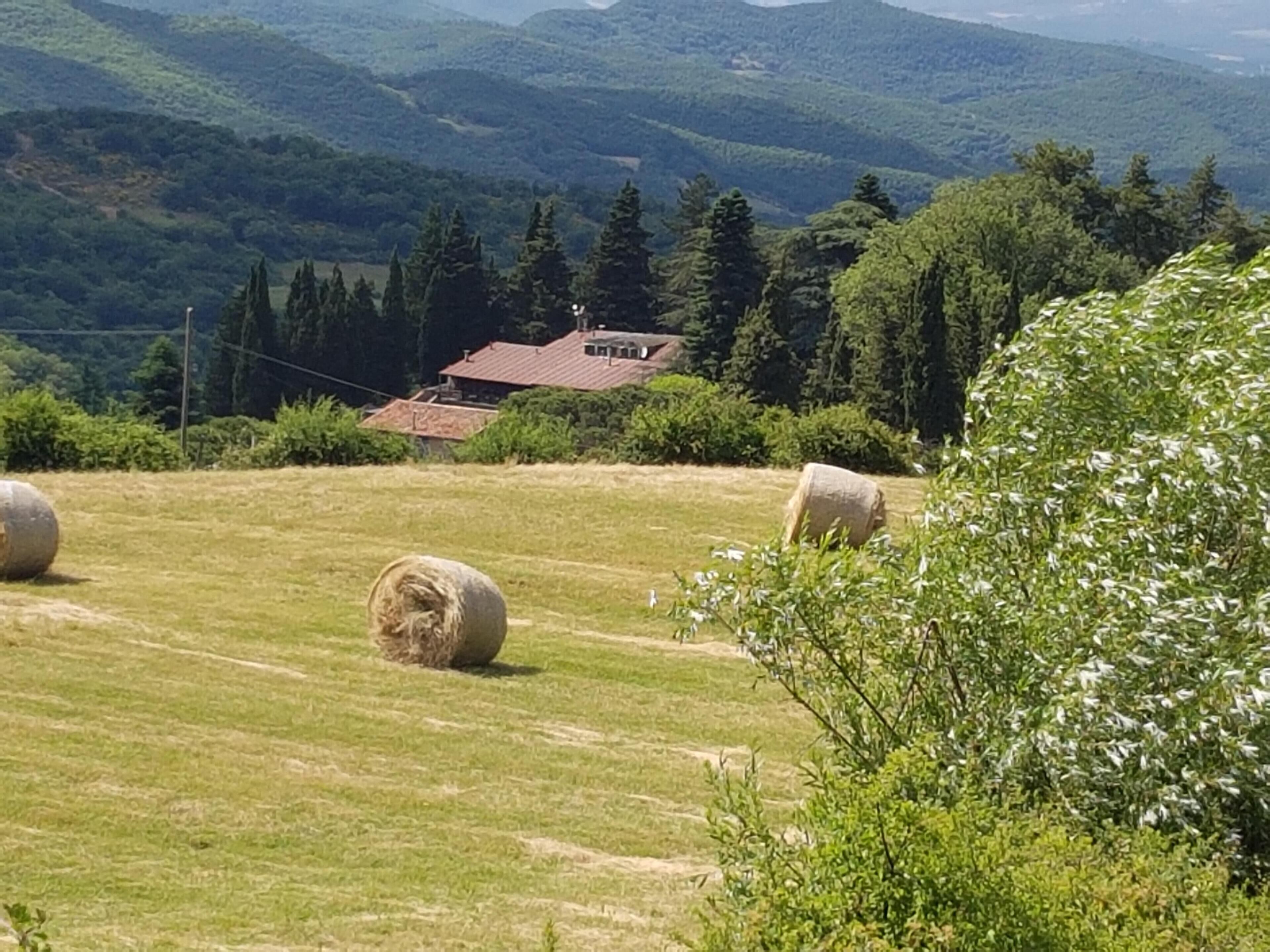 Paisatge rural amb grans bales de fenc a un camp, una casa amb teulada vermella i un turó forestal al fons.