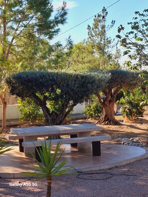 Outdoor dining - House located in a relaxing environment full of light and color. Nature at your feet (Librilla)