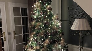 A Christmas tree with lights and ornaments in a room with a staircase and a lamp.