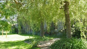 Un jardín con un sendero, árboles y un muro de piedra.