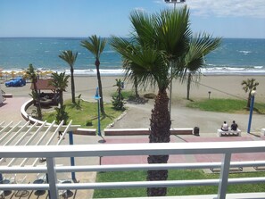 Vista de la playa con palmeras, un pabellón y una carretera con gente sentada en bancos.