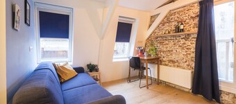 Renovated luxury apartment