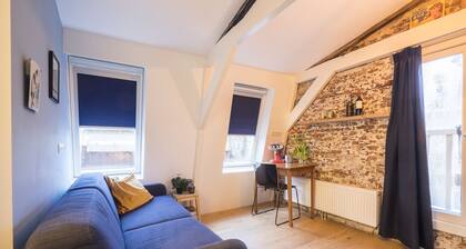 Renovated luxury apartment