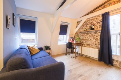 Renovated luxury apartment