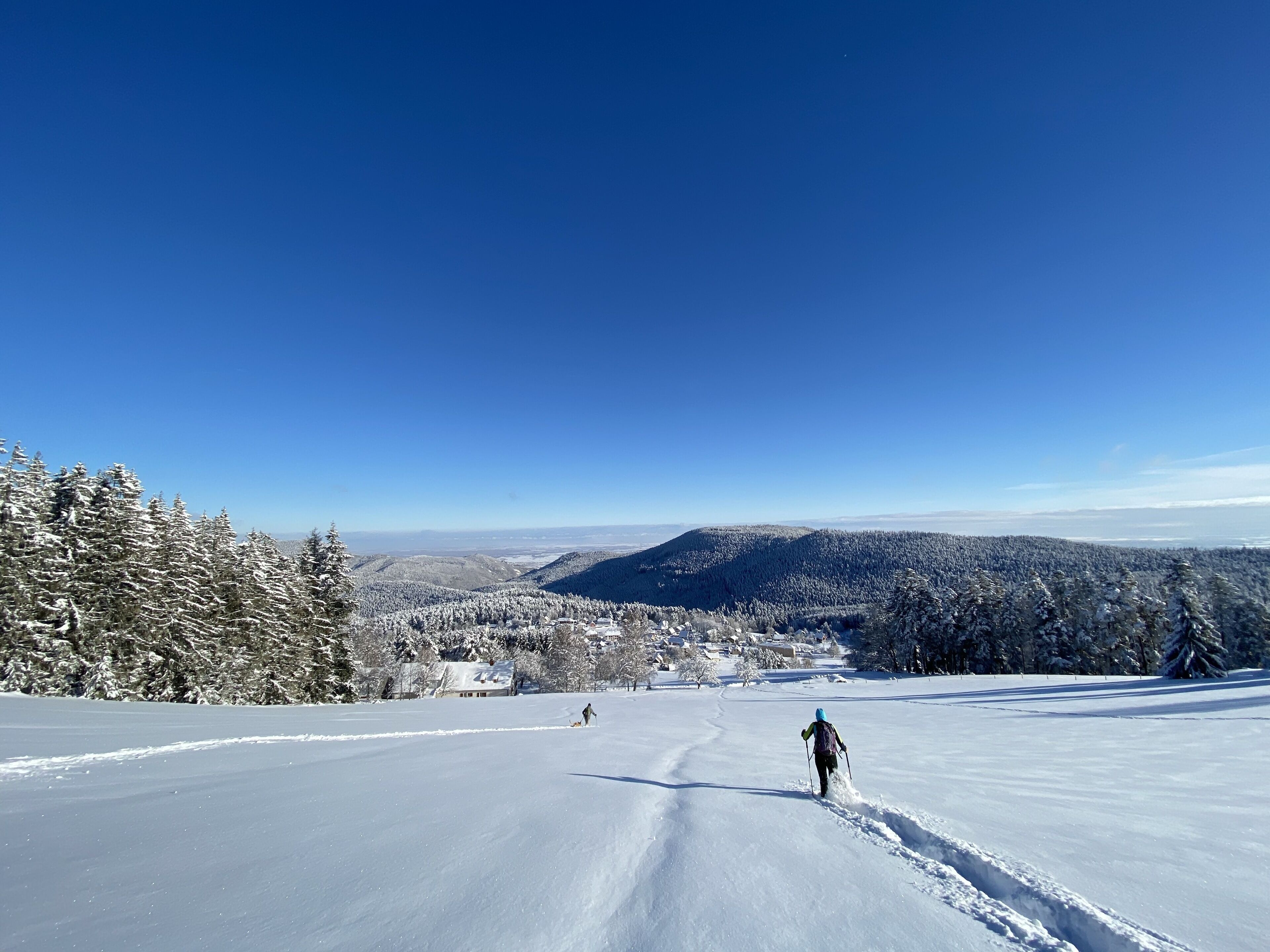 Eine verschneite Landschaft mit einer Person beim Skifahren.