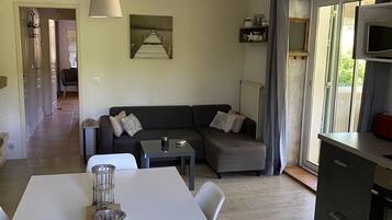 Télévision, cheminée, table de tennis de table