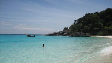 Plage à proximité, chaises longues, serviettes de plage