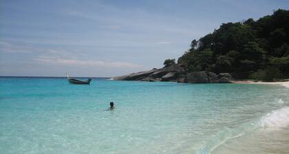 RARE ! villa, 3 bed-3 bath, pool-jacuzzi, tropical garden, property 1,600 m2,