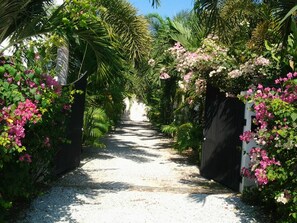 Property grounds - RARE ! villa, 3 bed-3 SdB, pool-jacuzzi, tropical garden, DISCOUNT 13-19 dec. (Phuket)