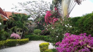 A garden with a gravel path, various shrubs, and flowering plants.