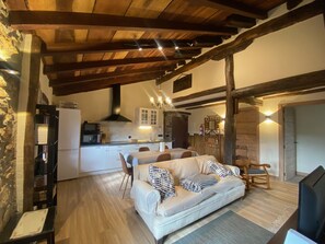 TV, fireplace, books, stereo - Rural apartment "Hernio" with 3 rooms (Aia)