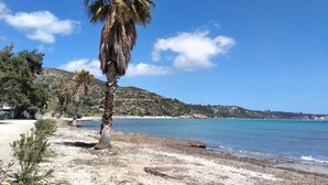 Una playa con una palmera, cielo azul despejado y mar tranquilo.