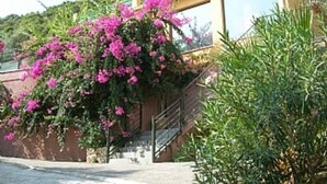Un edificio con una escalera que lleva a un balcón, rodeado de abundante vegetación y plantas florecientes.
