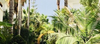 Luxury duplex penthouse overlooking the golf of Guadalmina Baja Marbella