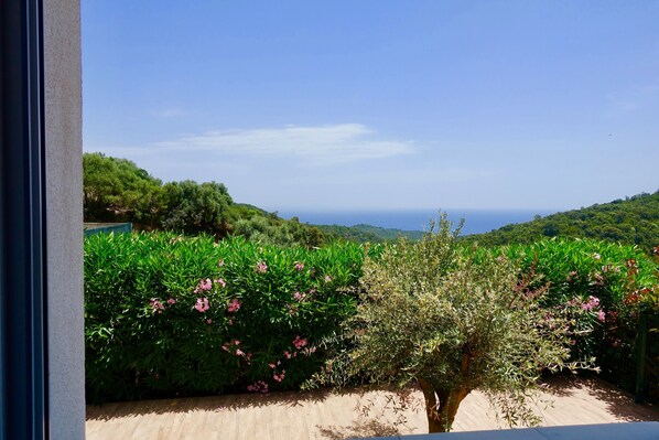A view of a lush garden with various plants and flowers, a concrete pathway, and a distant view of the sea and hills.