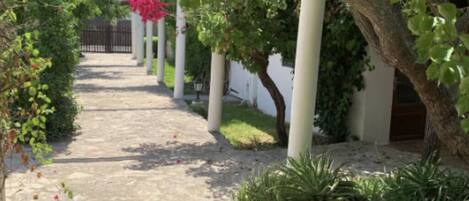 Un sendero bordeado de árboles y arbustos que conduce a un edificio con fachada blanca.