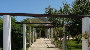 A stone pathway leading to a building under a pergola with white columns, surrounded by greenery and flowers. - Las Rosas – A Peaceful Mallorcan Retreat with Spectacular Mountain Views (Pollenca)