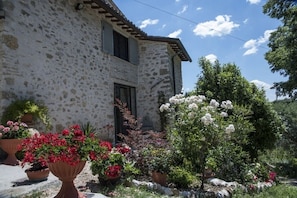 Property grounds - Ancient medieval tower, ideal for couples or families (Assisi)