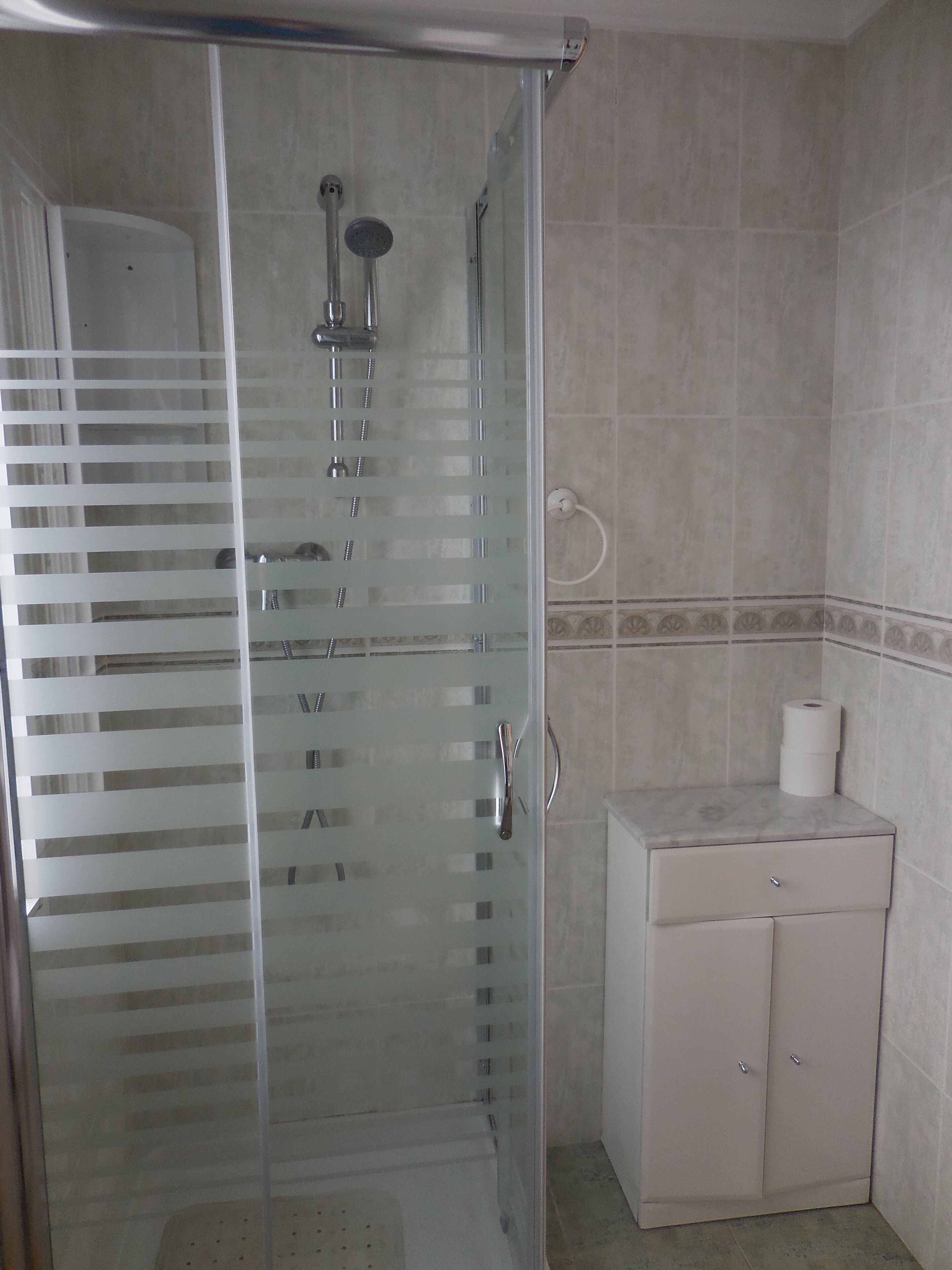 A bathroom with a glass shower enclosure, a toilet, and a small cabinet with a toilet paper holder.