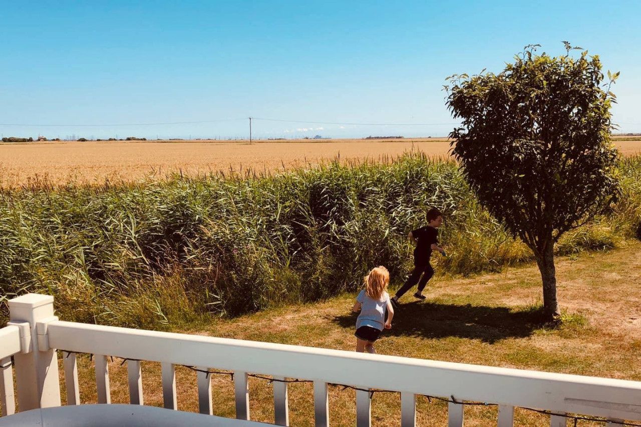 Ländliche Landschaft mit einem Feld, einem Baum und einer wandernden Person.