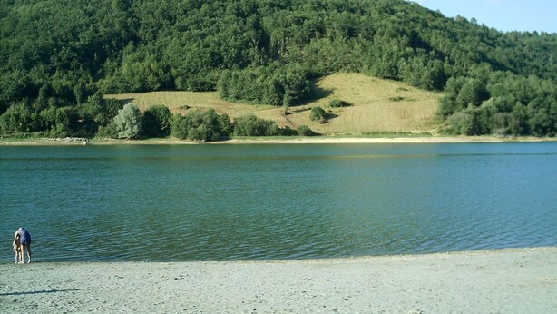 Um lago com uma colina arborizada ao fundo.