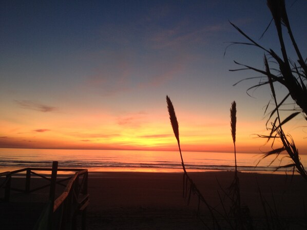 Ubicación cercana a la playa y tumbonas
