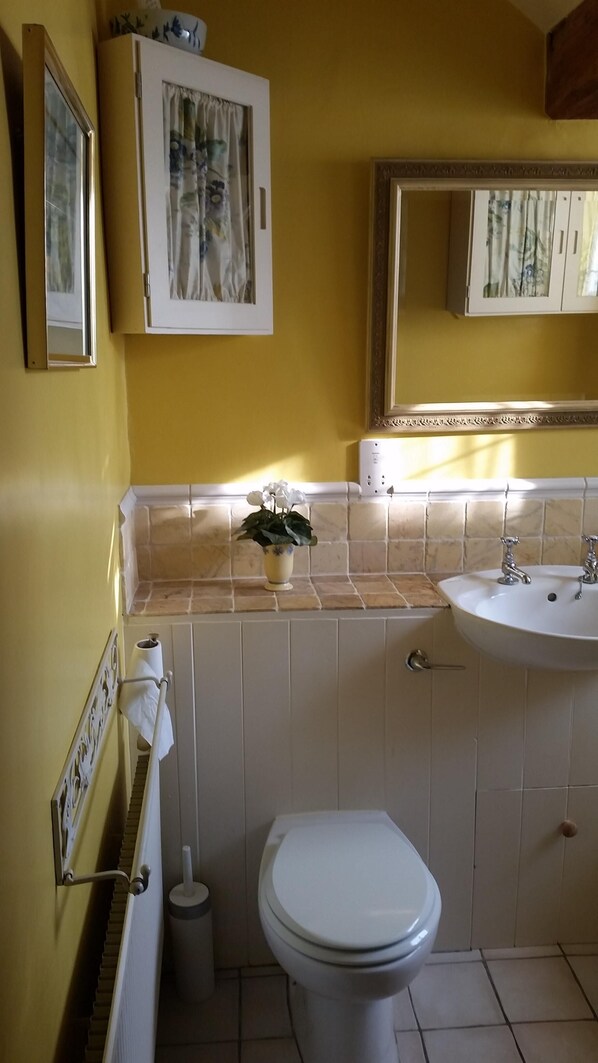 A bathroom with a toilet, sink, and a mirror above the sink. There is a towel rack with a towel and a small potted plant on the counter.