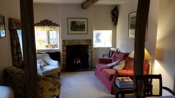 Tv, eldstad, dvd-spelare och böcker