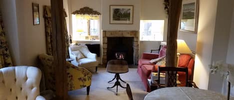 Télévision, cheminée, lecteur de DVD, livres