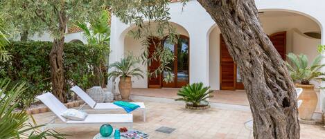 テラス / パティオ