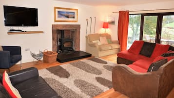 TV, fireplace, DVD player, books