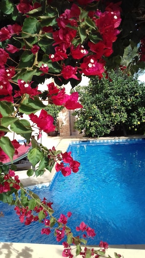A swimming pool with clear blue water, surrounded by lush greenery and red flowers. - Ideal house to enjoy with your loved ones. (Santa Gertrudis de Fruitera)