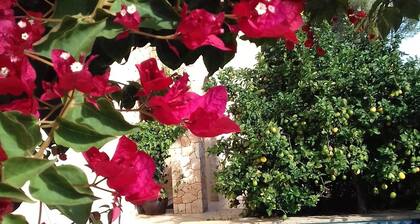 Ideal house to enjoy with your loved ones.