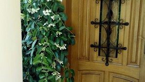 A wooden door with a metal gate, a potted plant with white flowers, and a patterned rug on a tiled floor. - Ideal house to enjoy with your loved ones. (Santa Gertrudis de Fruitera)