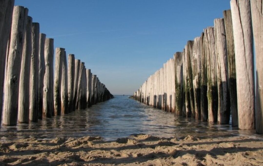 Une plage avec des poteaux en bois qui s’étendent dans l’eau.