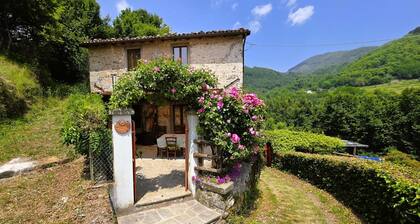 Traditional style stone cottage with private pool