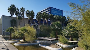 A landscaped area with a water feature, palm trees, and a building with a blue facade.