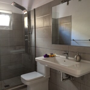 Shower, hair dryer, towels