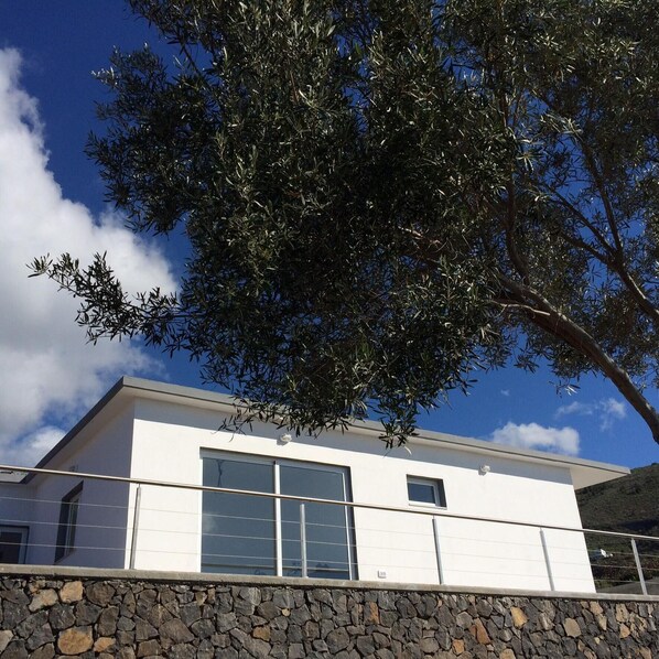 A modern building with a stone foundation, large windows, and a tree in the foreground. - Secluded villa boasting panoramic views to the sea - infinity pool and free Wifi (Tijarafe)