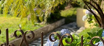 Villa natura S. Miguel island - Azores
