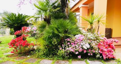 arbatax tortoli: elegant and prestigious villa with green lawn and flowers
