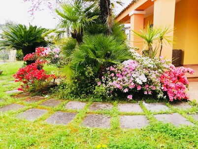 arbatax tortoli: elegant and prestigious villa with green lawn and flowers